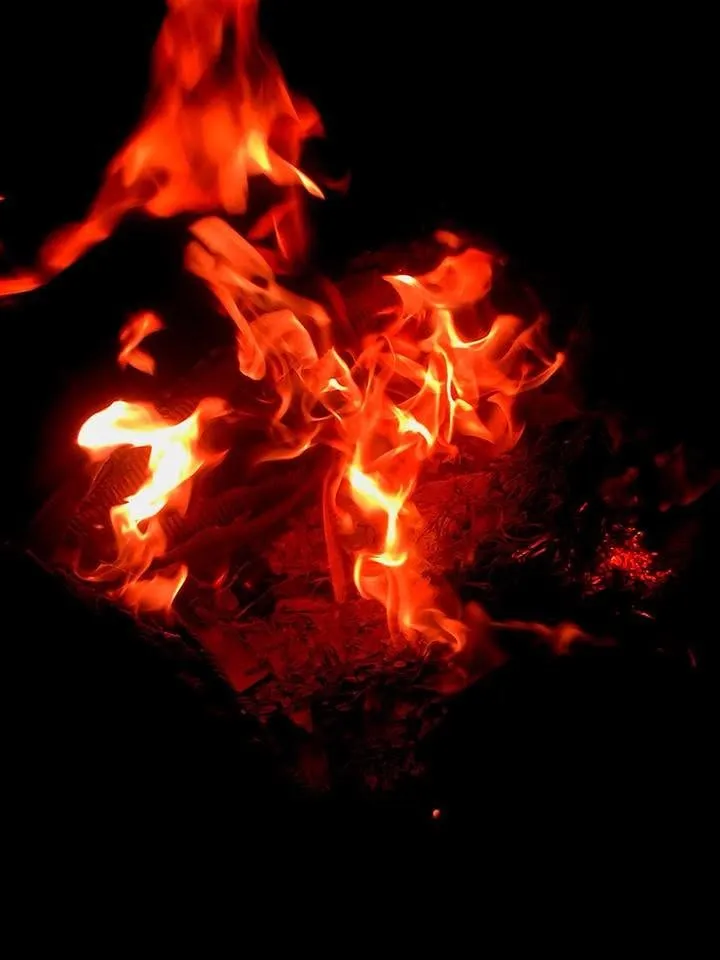 Close-up of orange flames curling against a pitch-black night