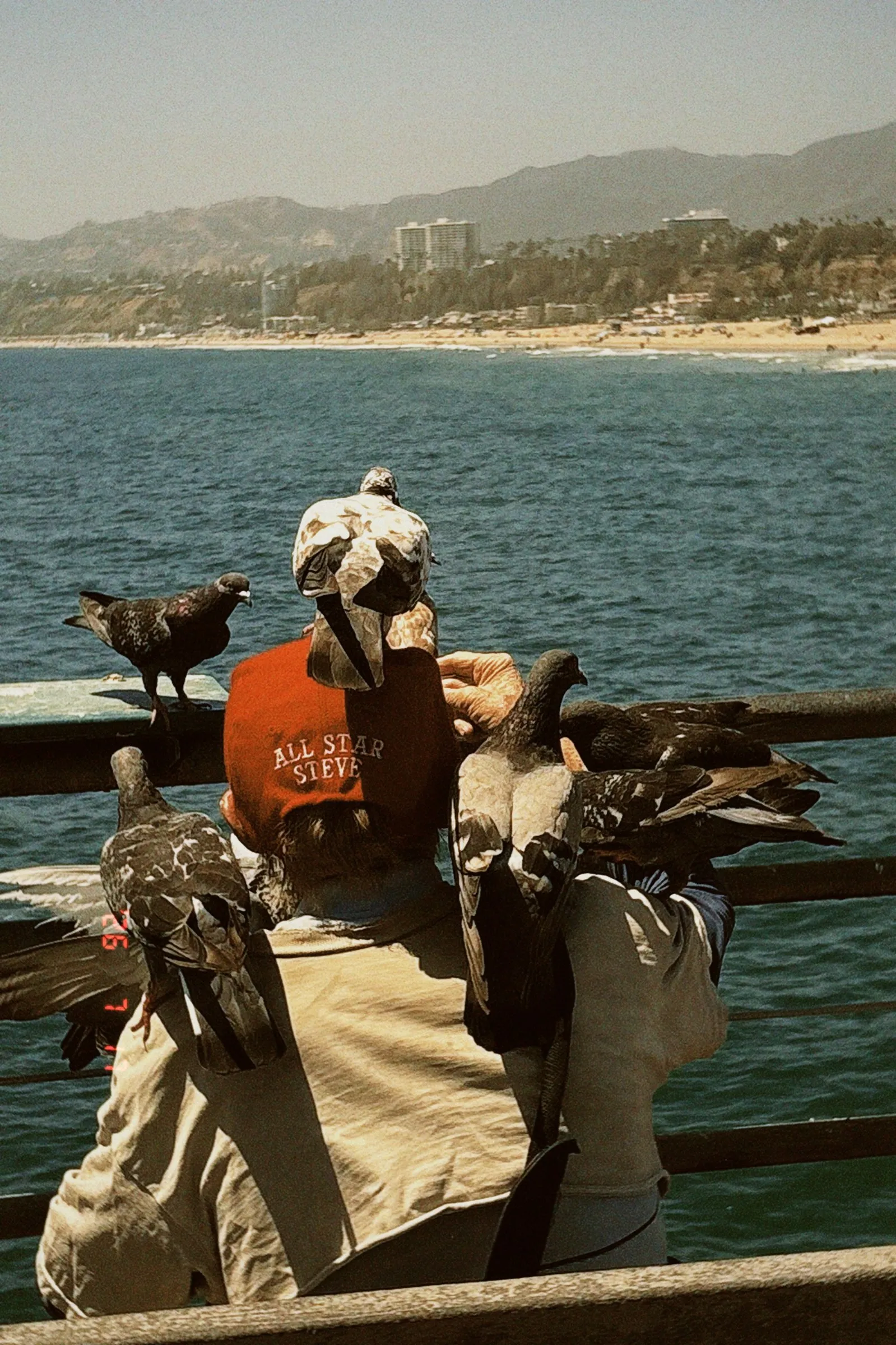 A man in a red cap with pigeons perched on his arms and shoulders, looking out over the Pacific