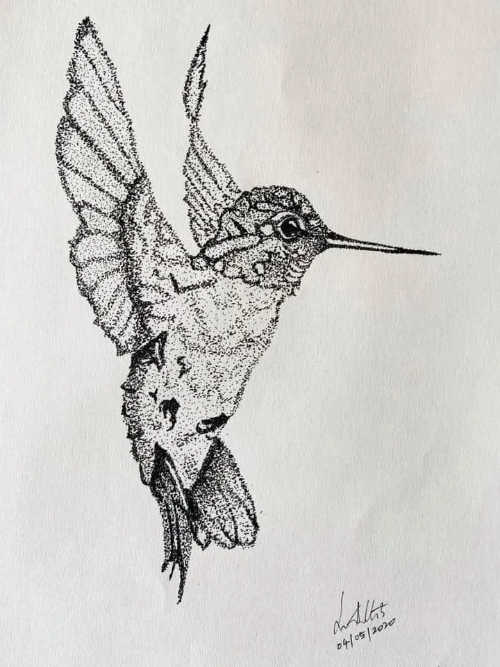 A hummingbird in flight, wings raised, drawn entirely in stippled pen dots
