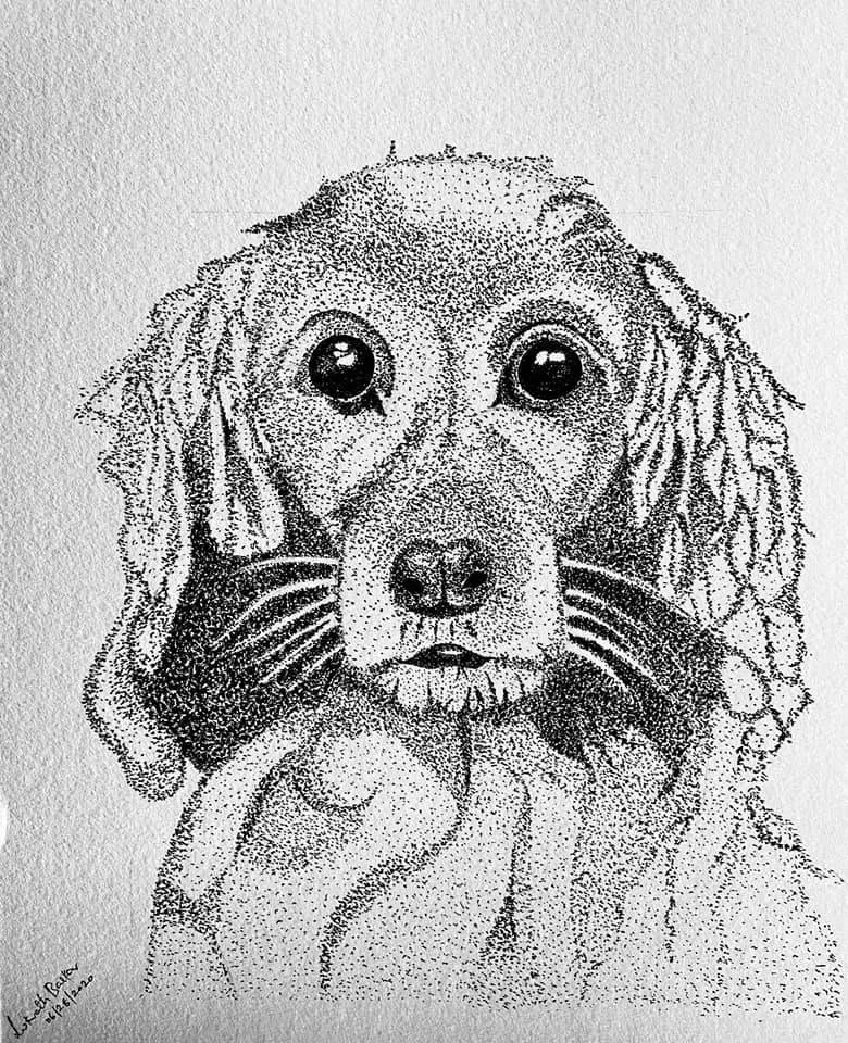A close portrait of a long-eared puppy with large glossy eyes, drawn in stippled pen dots